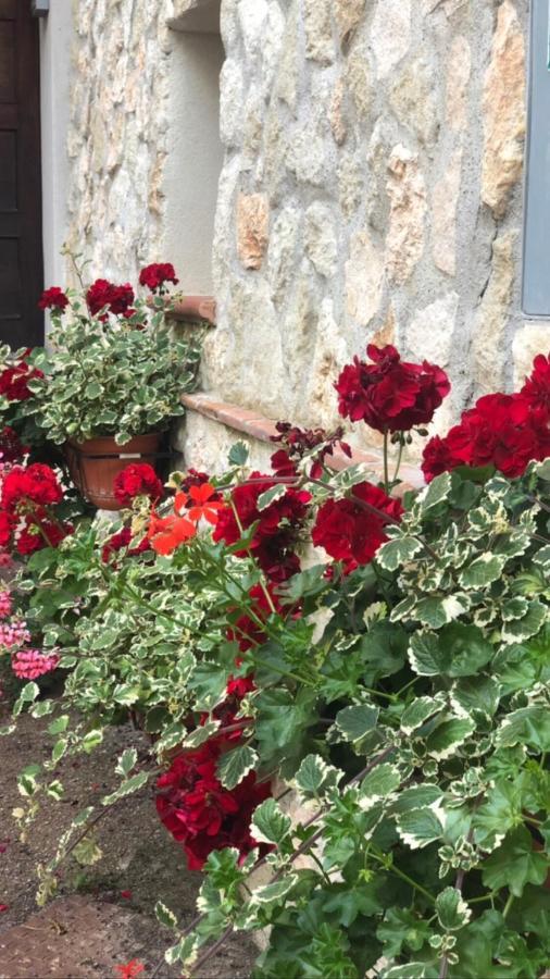 La Casetta Di Elena Lamezia Terme Exterior foto
